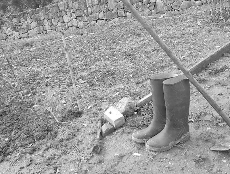 O que plantar em Março?