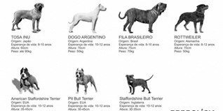 Crónica Animal IX