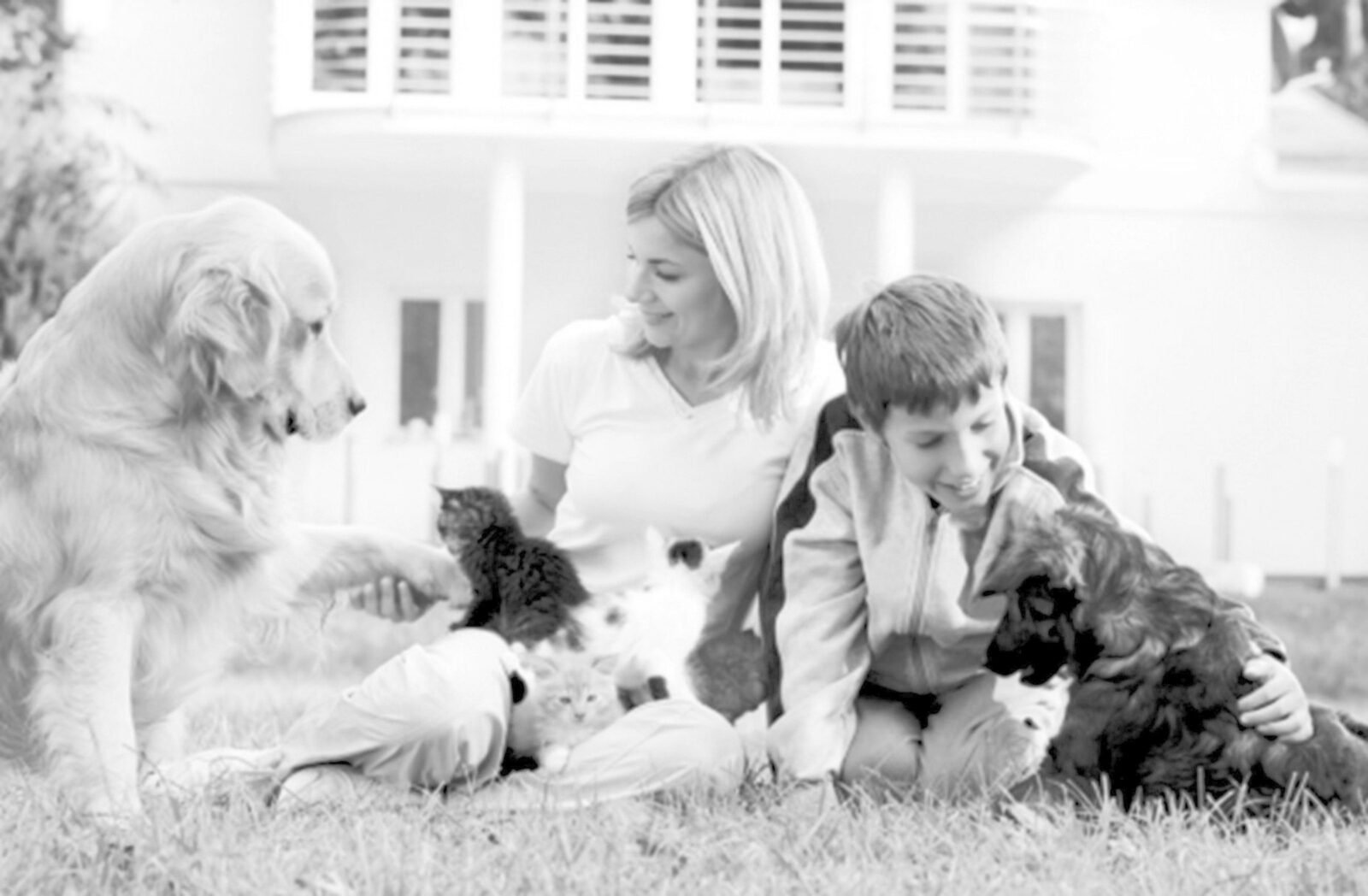 Benefícios de se ter um animal de estimação