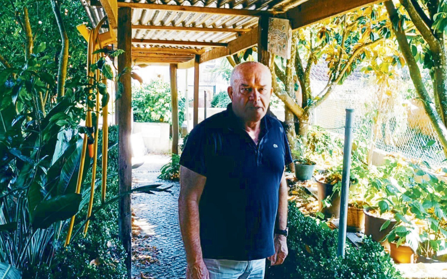 Fernando José Faustino Brites