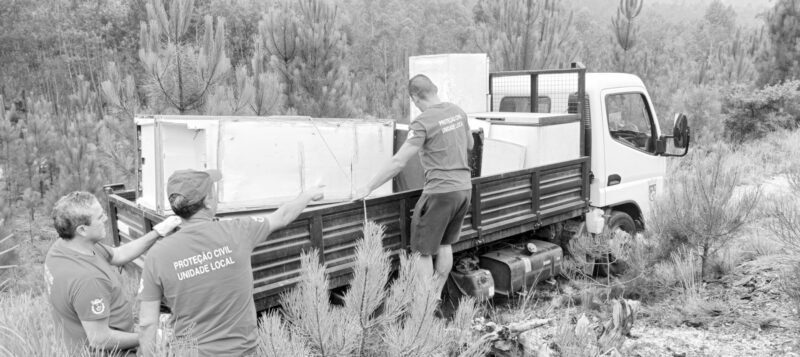 Recolha de monos e lixo da floresta - alerta