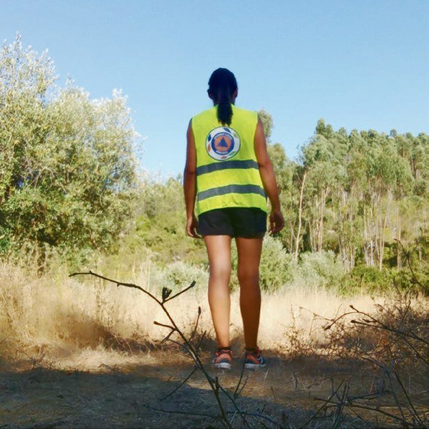 Plano de Vigilância Florestal 2025