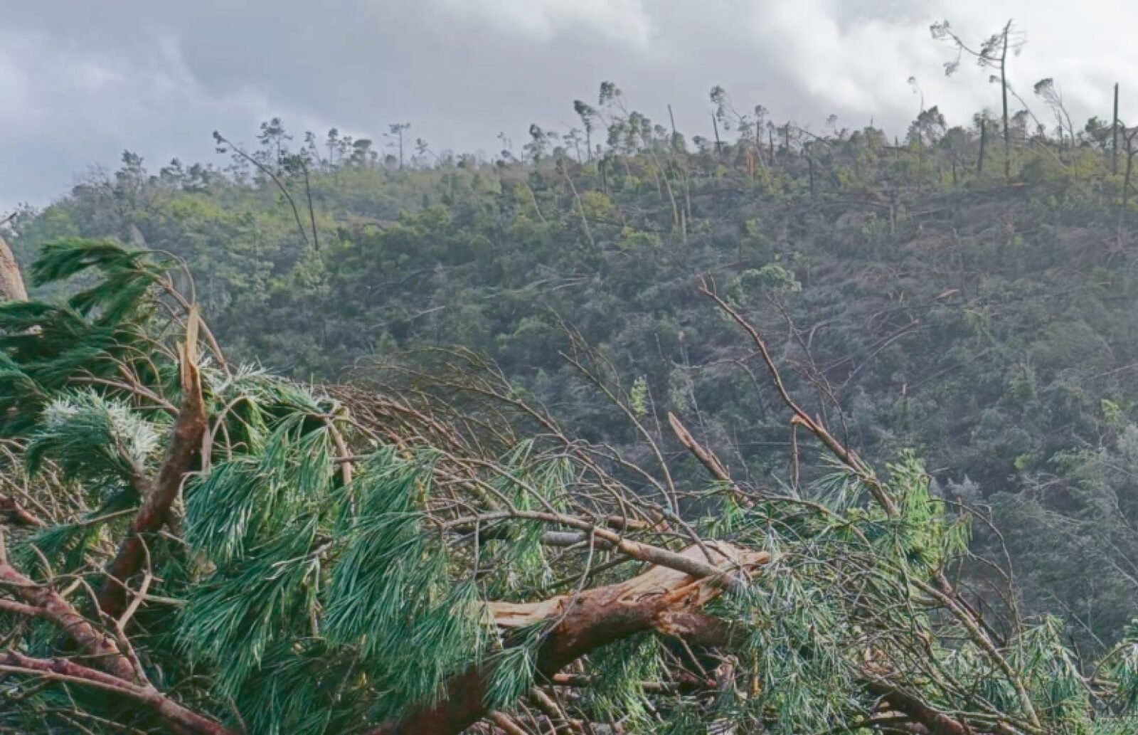 Tempestade Kristin deixa Arrabal incomunicável durante mais de dois meses