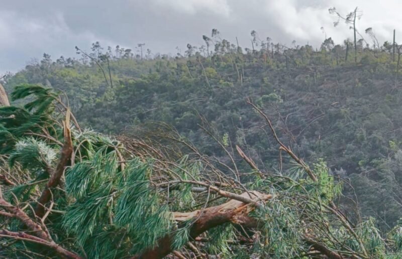 Tempestade Kristin deixa Arrabal incomunicável durante mais de dois meses