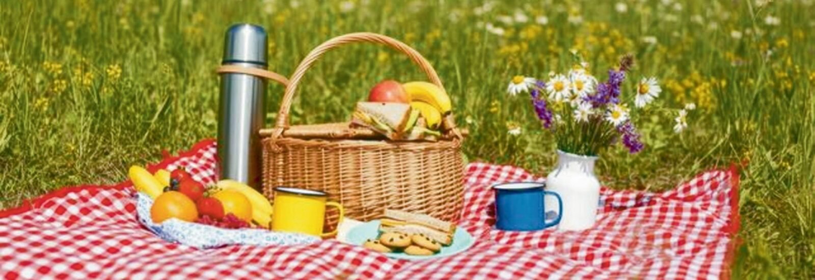 Segurança alimentar no verão: pequenos cuidados que fazem toda a diferença